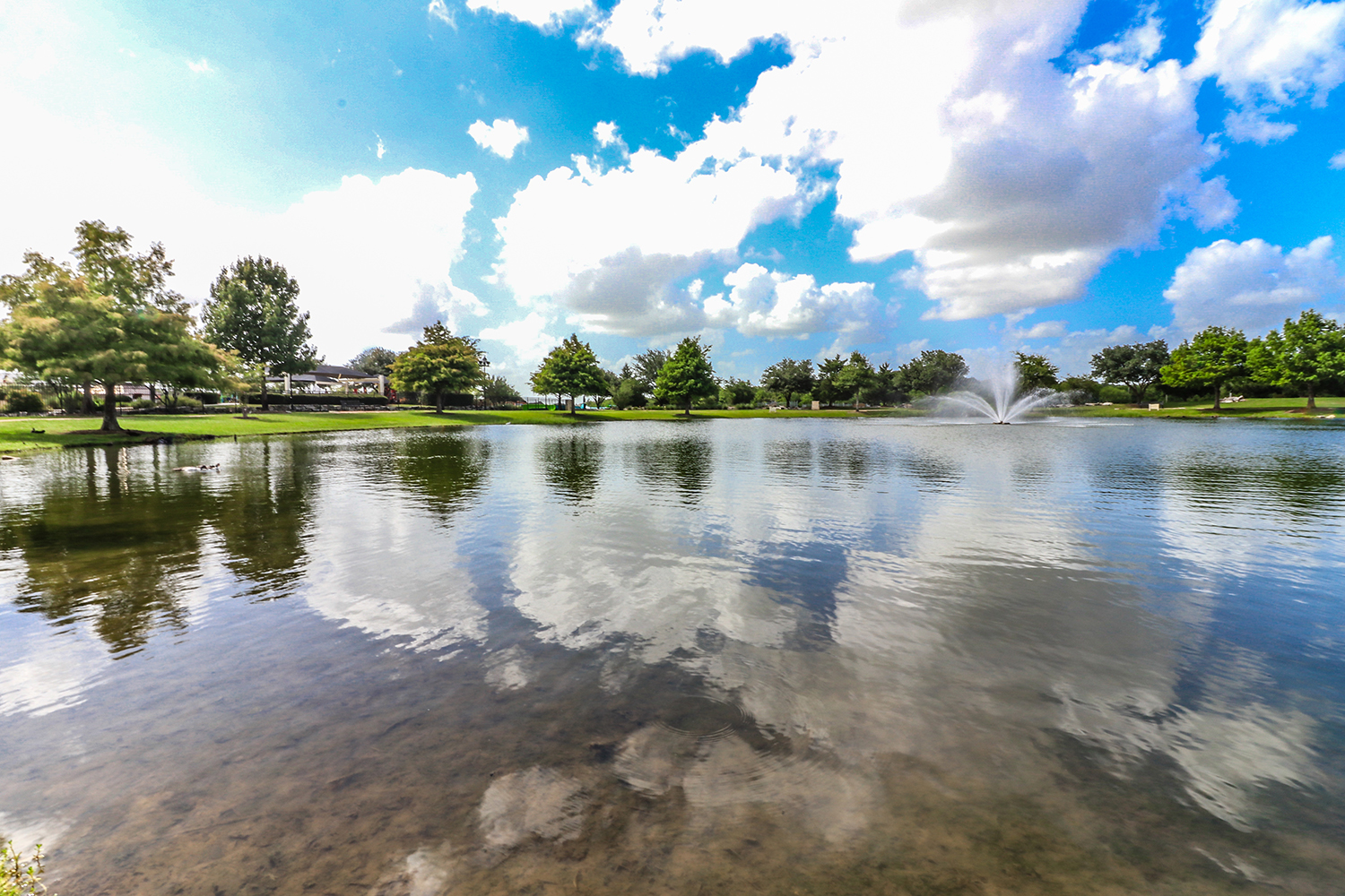 FirethorneFirethorne West 60’ HomesitesNew Homes By Coventry Homes